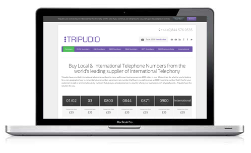 Tripudio Self Service Numbers Website on Laptop