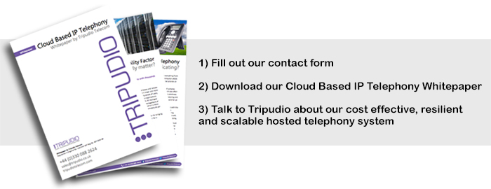 Download Cloud Based IP Telephony Whitepaper